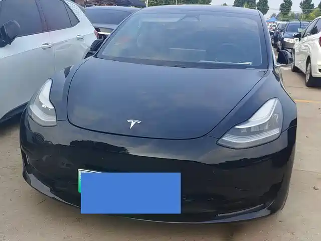 Tesla Model 3 2021 Facelift Standard Range RWD Upgrade 3D1