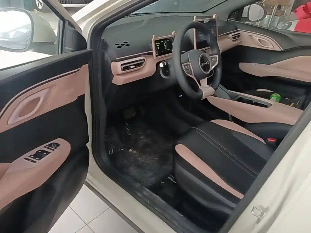 BYD Seagull 2026 2025 Smart Drive Edition 305km Vitality Version