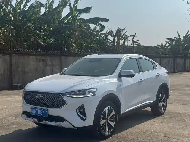 HAVAL F7X