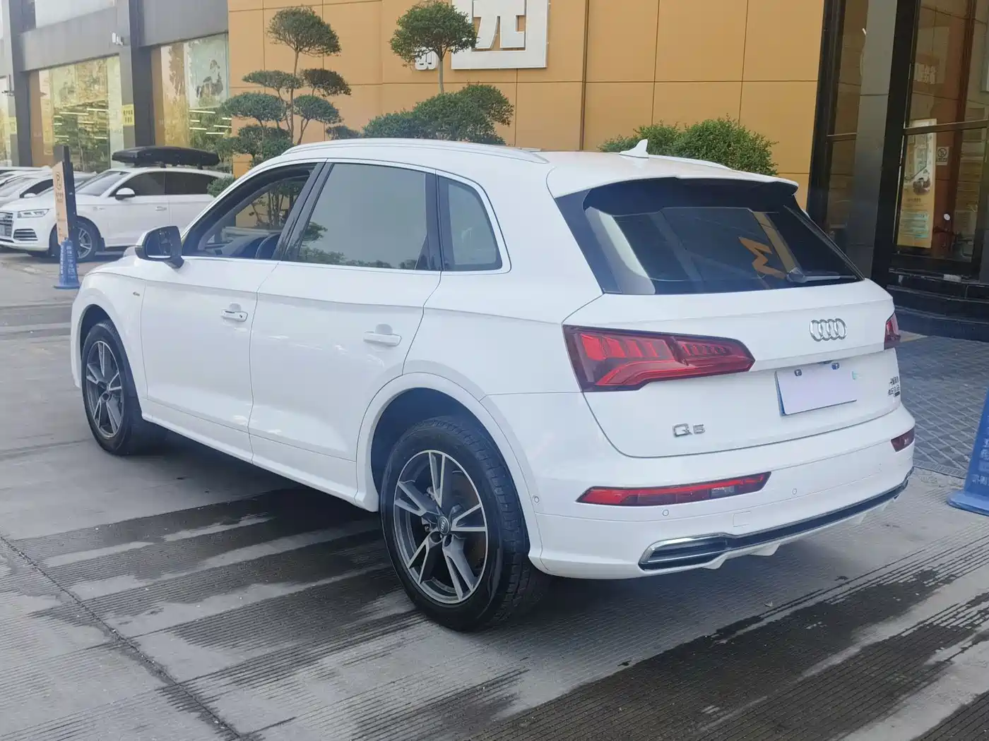 Audi Q5L 2020 45 TFSI Exclusive Fashion фото 6