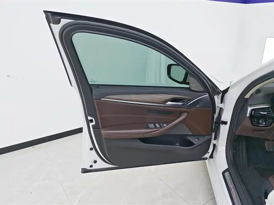BMW 5 Series 2019 530Li Premium Luxury Package фото 7