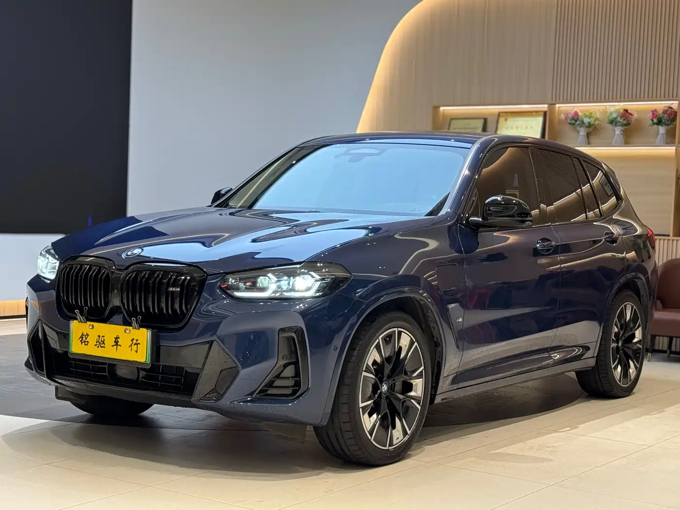 BMW IX3