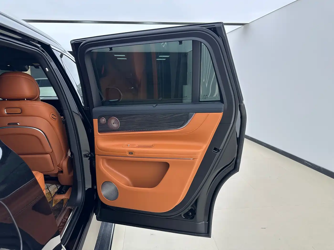 AITO Wenjie AITO M9 2024 Range Extender Max Edition 42kWh 6-seater фото 21