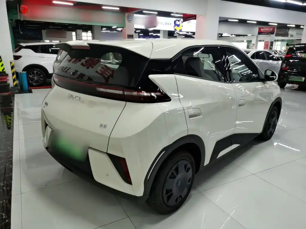 BYD Seagull 2026 2025 Smart Drive Edition 305km Vitality Version