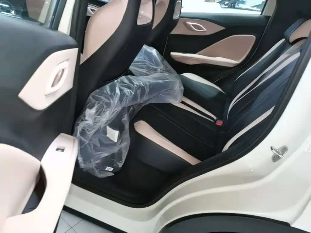 BYD Seagull 2026 2025 Smart Drive Edition 305km Vitality Version