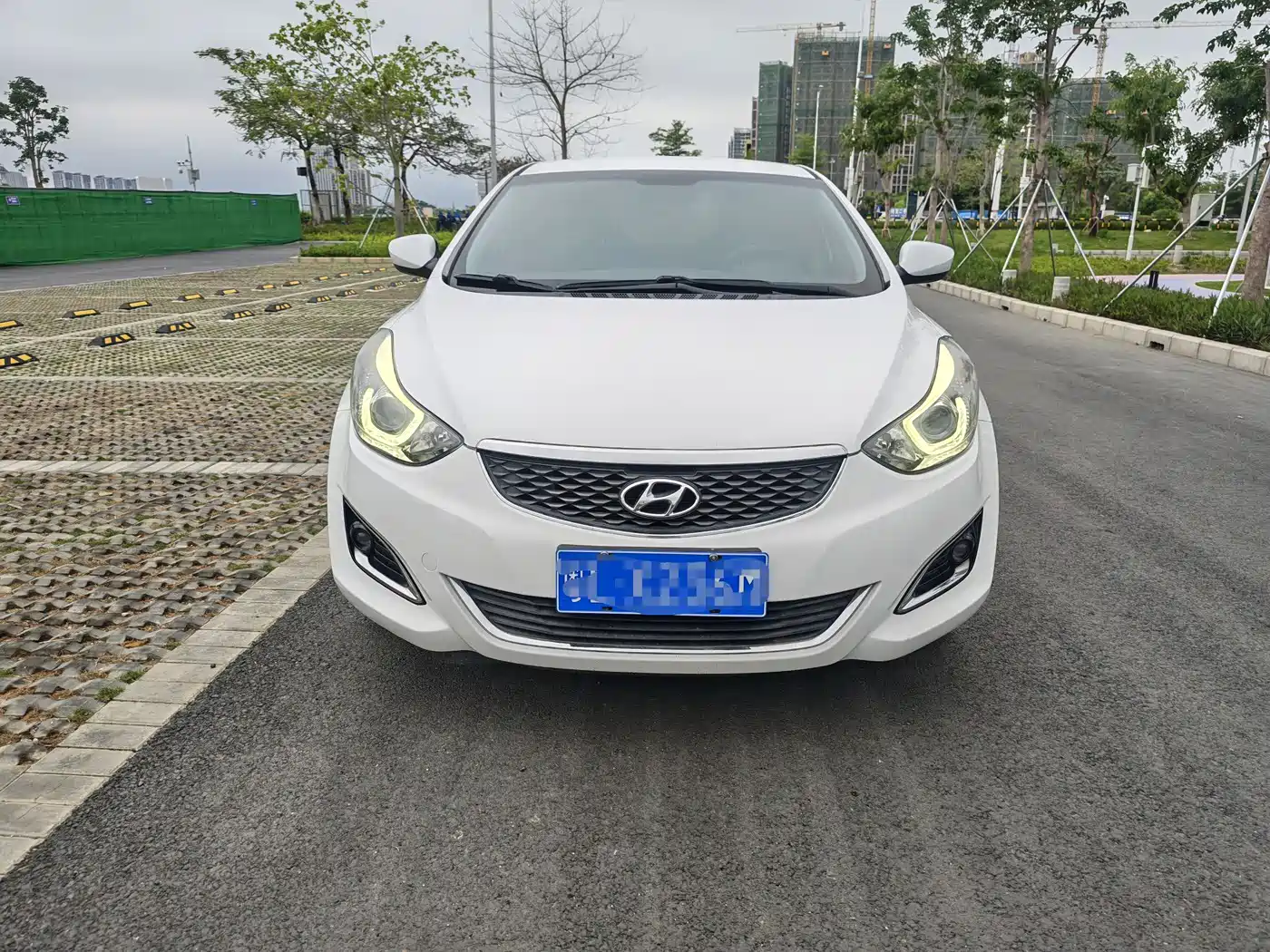 HYUNDAI LANGDONG