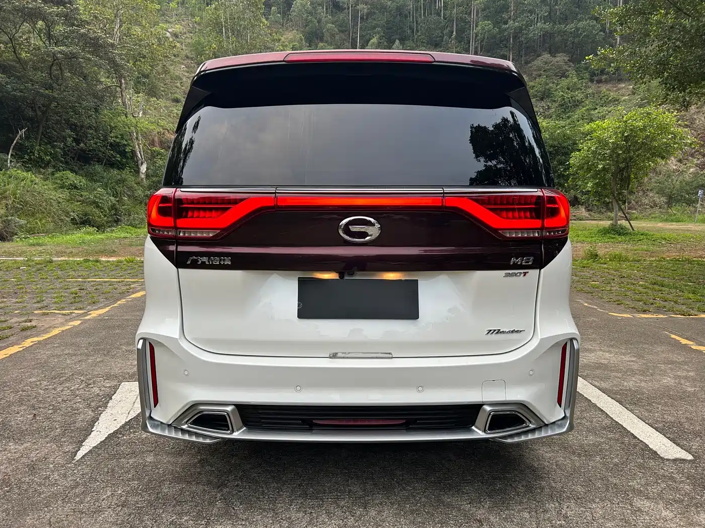 GAC Trumpchi Trumpchi M8 2021 Master Series 390T Prestige Edition фото 8