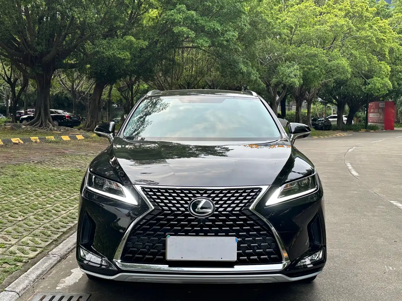 Фото 2 - Lexus RX