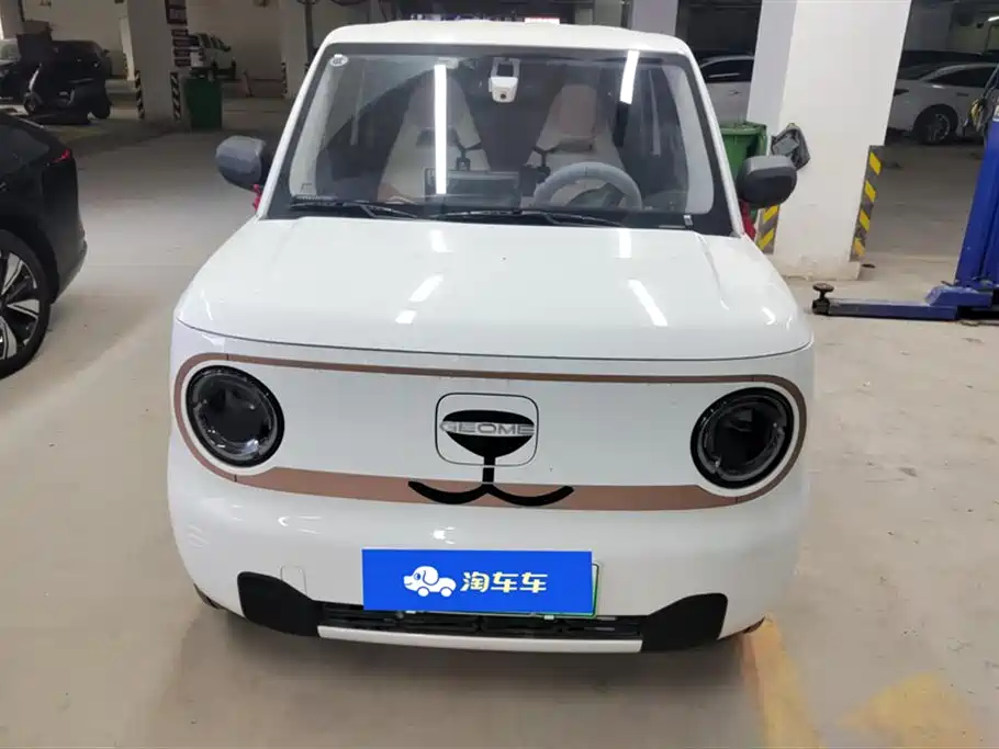 GEELY GALAXY PANDA