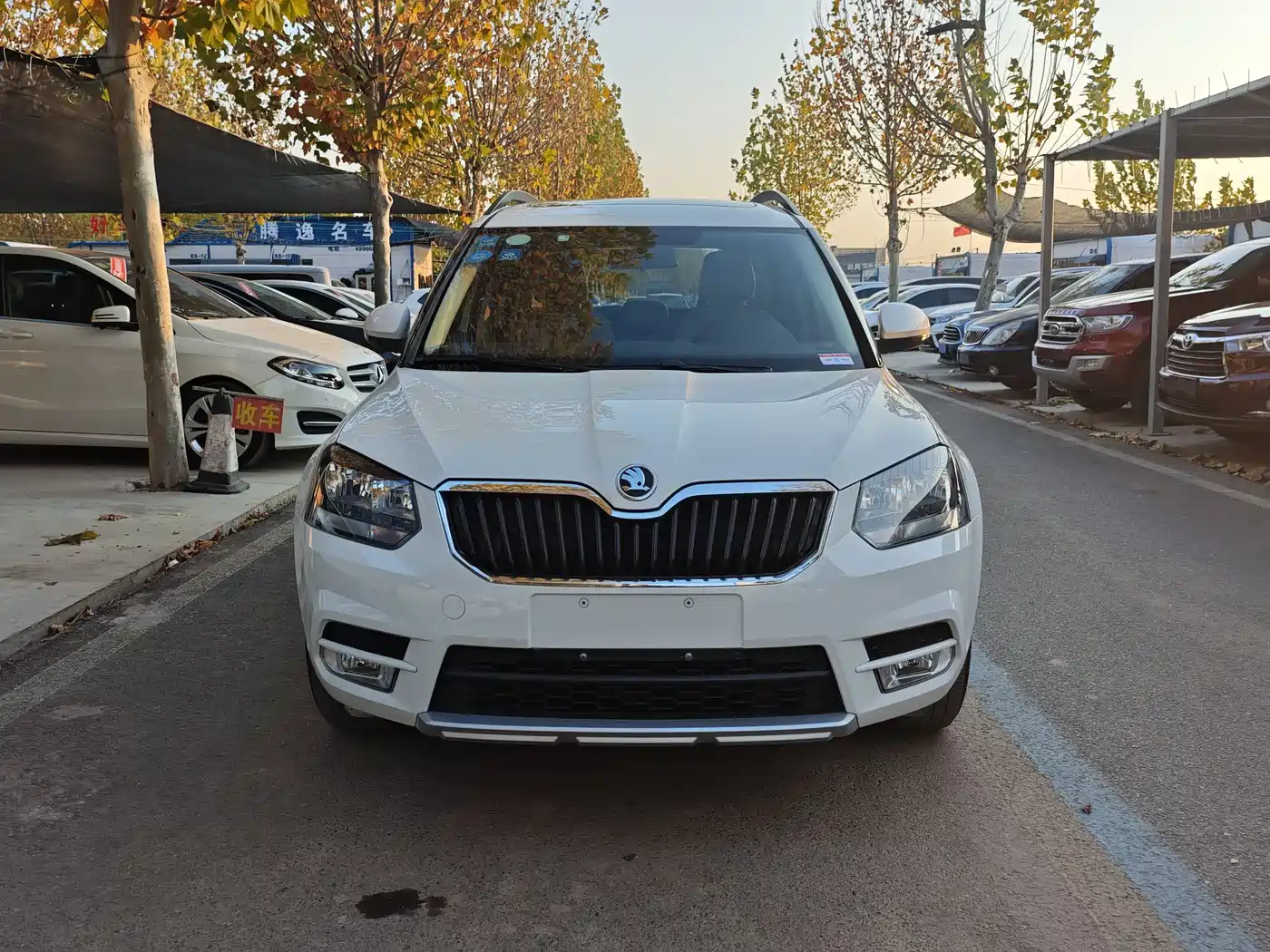 Škoda Yeti 2017 TSI280 DSG Advance фото 2