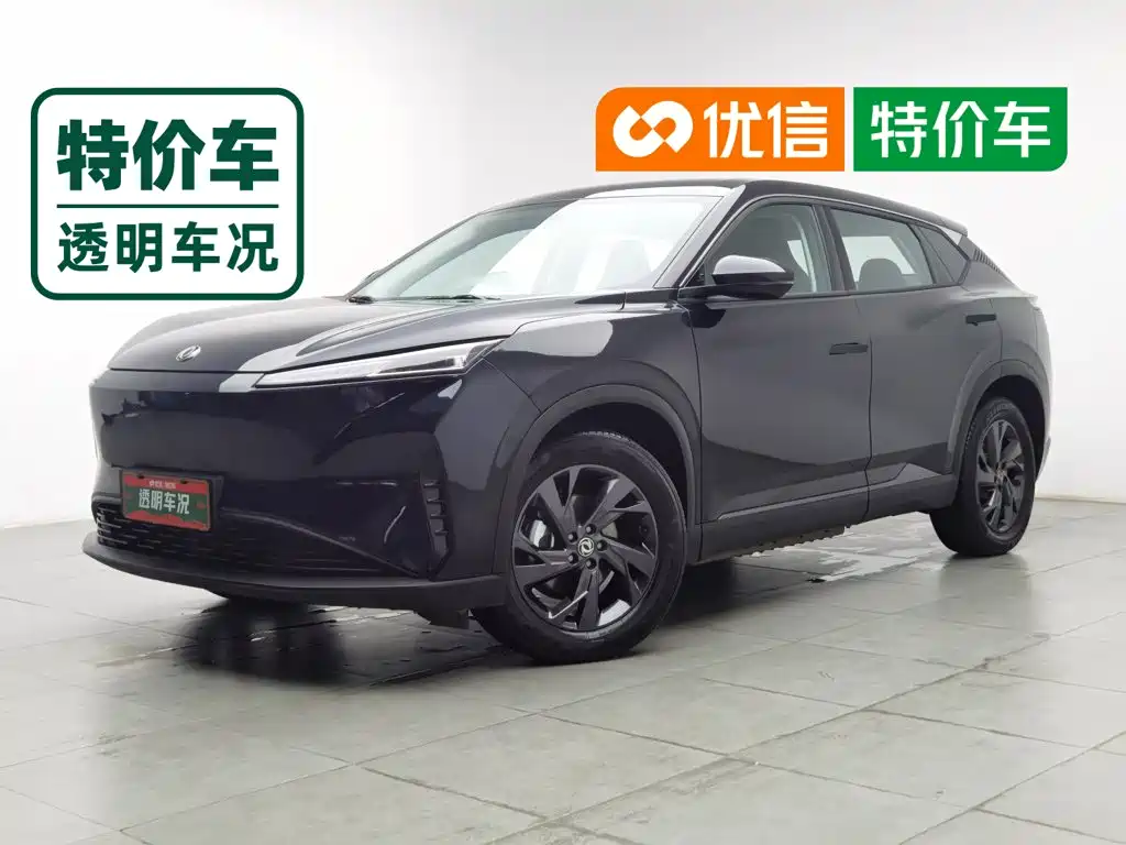 Dongfeng Aeolus SKY EV01 2025 2024 530km PRO