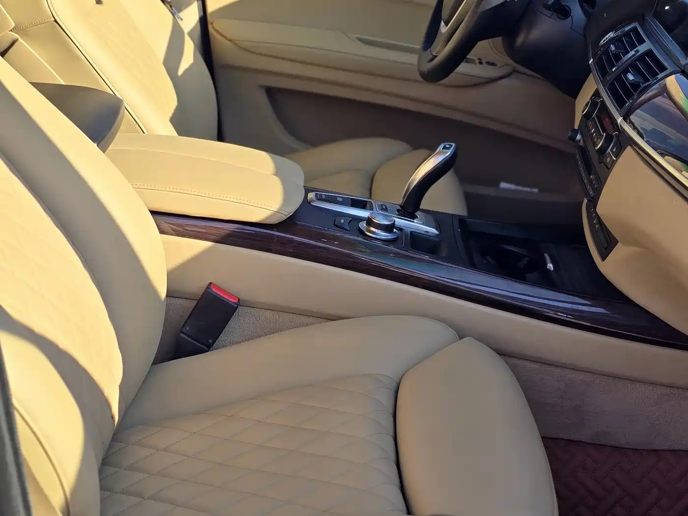 BMW X5 (Import) 2009 xDrive48i Luxury фото 13