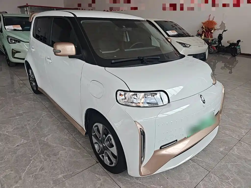2022 Ora White Cat