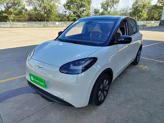  Wuling Motors Wuling Bingo 2023 Model 333km Joy+ Version