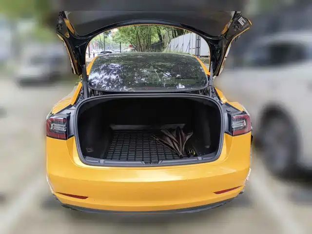 Tesla Model 3 2021 Standard Range Rear-Wheel Drive Upgrade 3D6 — фото 5