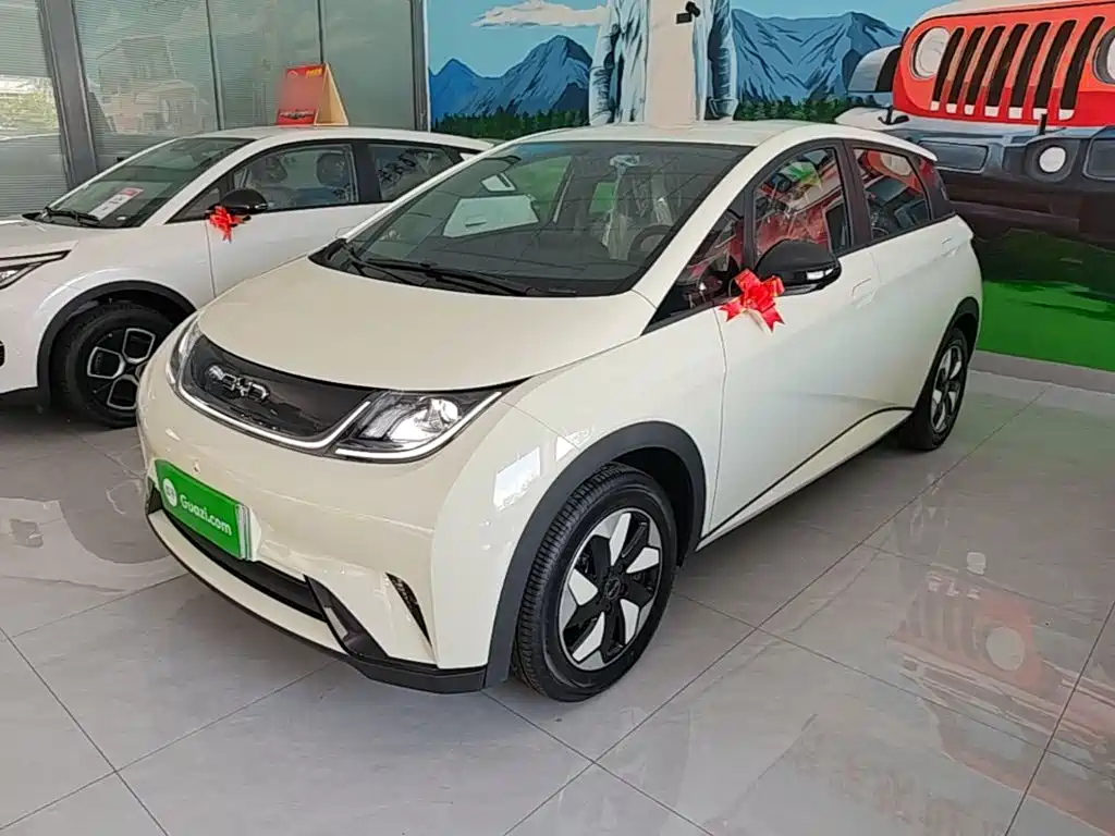 BYD Dolphin 2026 2025 420km Freedom Edition