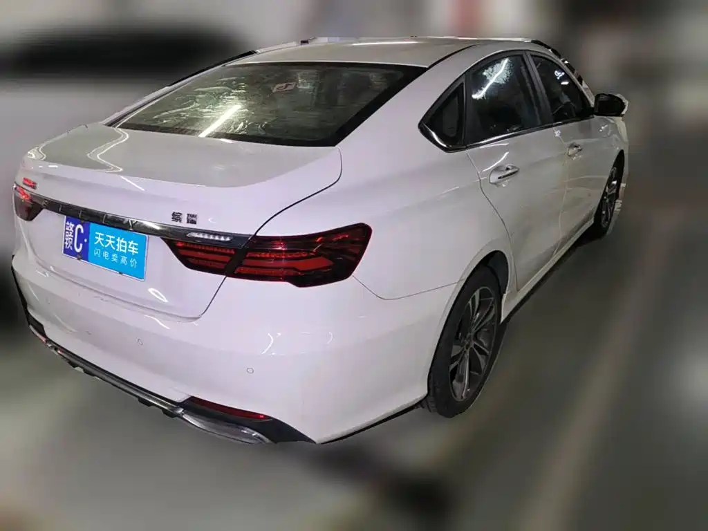Фото 2 - Geely Binrui