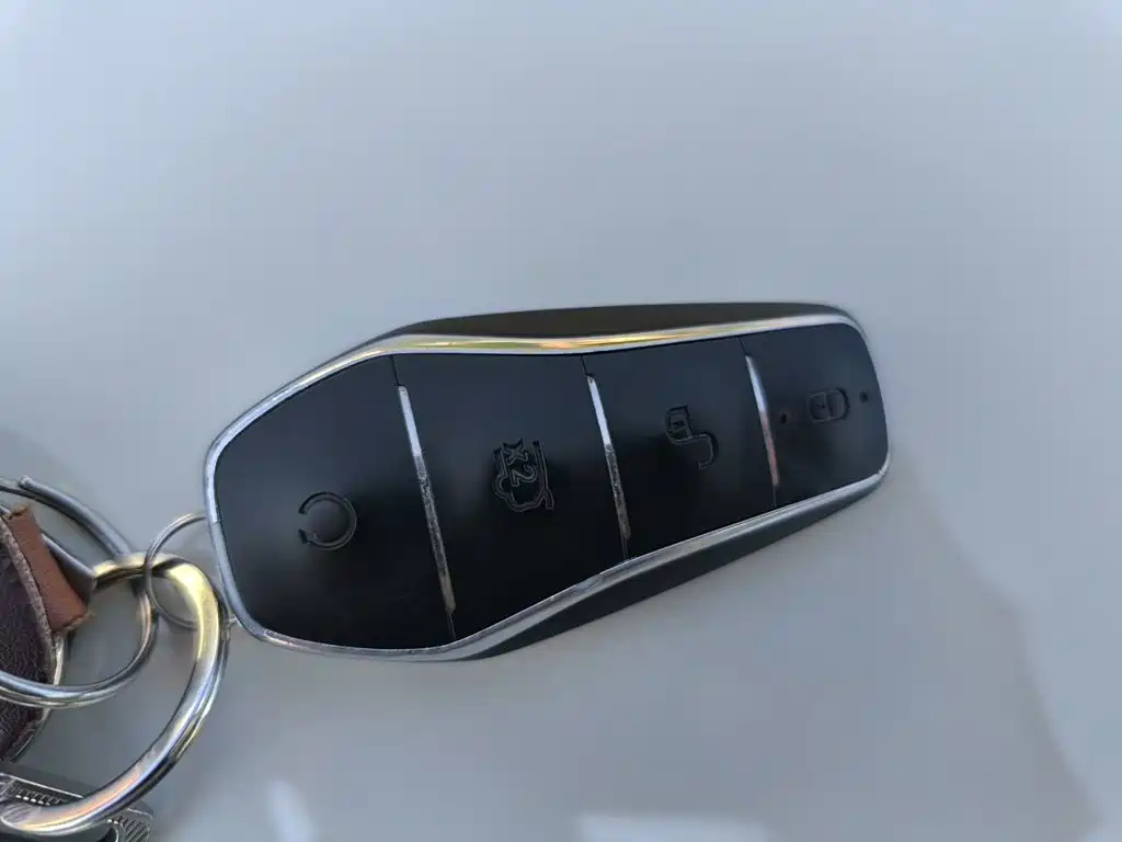 BYD Seal 2024 2023 DM-i 1.5T 121km Flagship