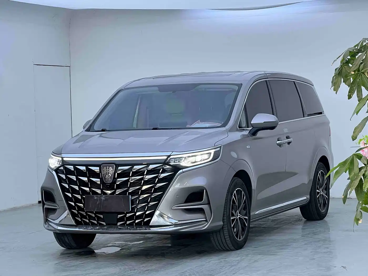 Roewe iMAX8 2023 2023 400TGI Cross Edition