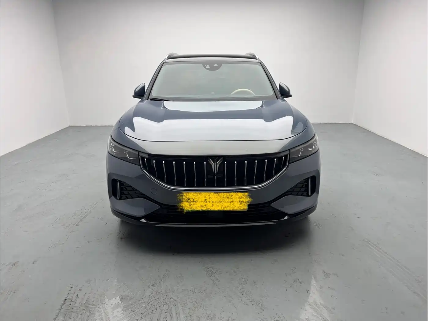 Voyah Auto VOYAH FREE 2021 AWD Standard Range Extender Exclusive Luxury Package фото 2