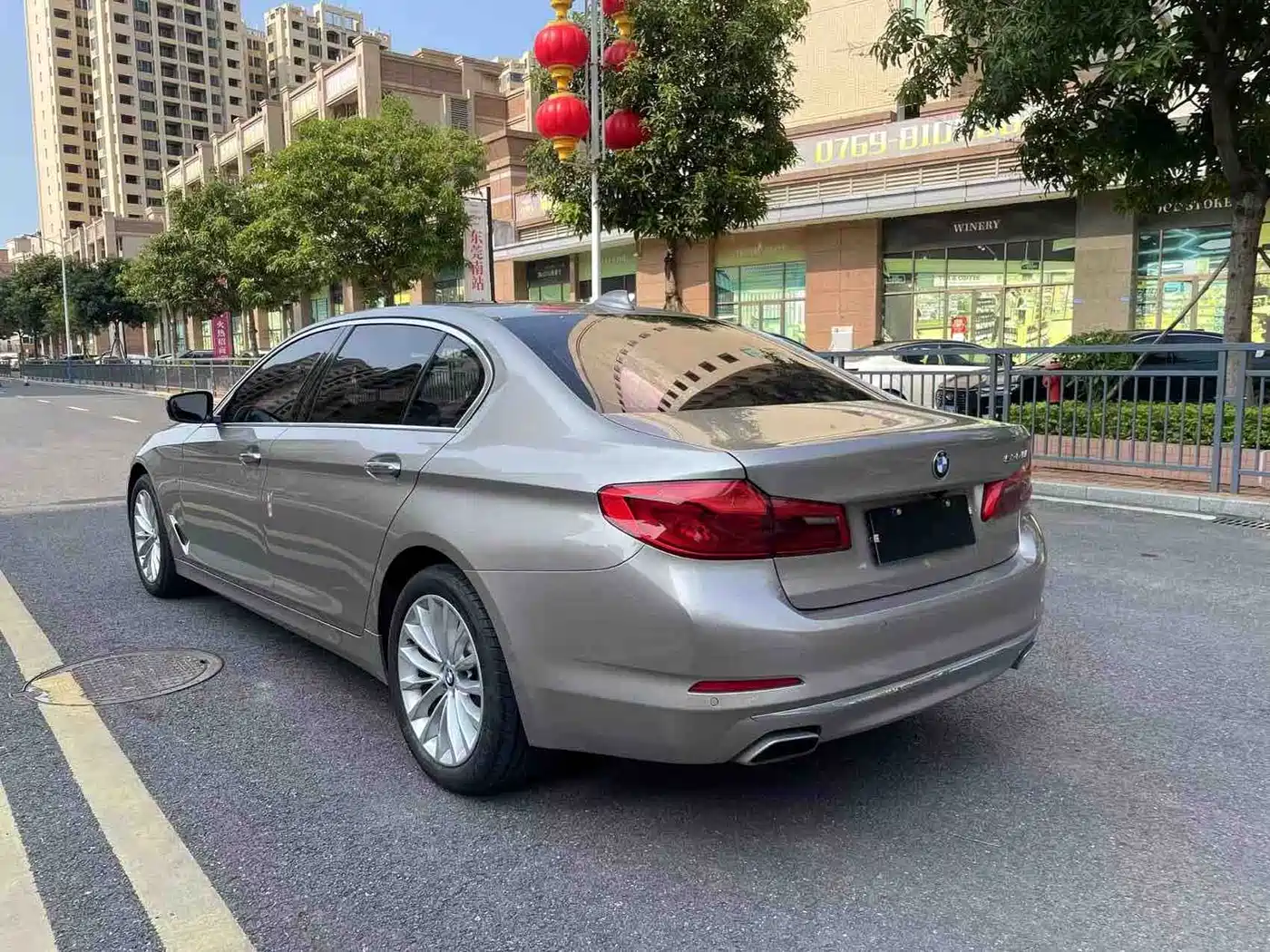 BMW 5 Series 2018 530Li Leading Luxury Package фото 8