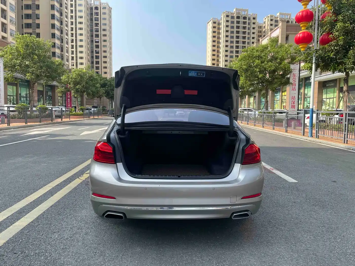BMW 5 Series 2018 530Li Leading Luxury Package фото 22