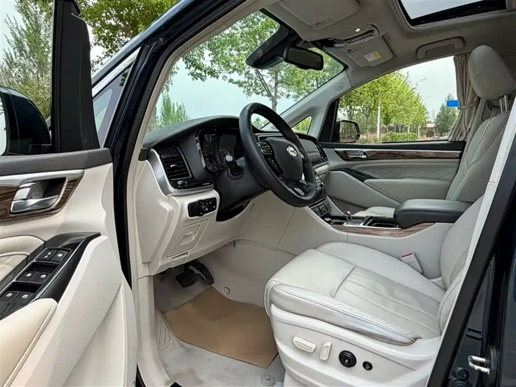 GAC Trumpchi Trumpchi M8 2018 320T Premium Edition фото 14