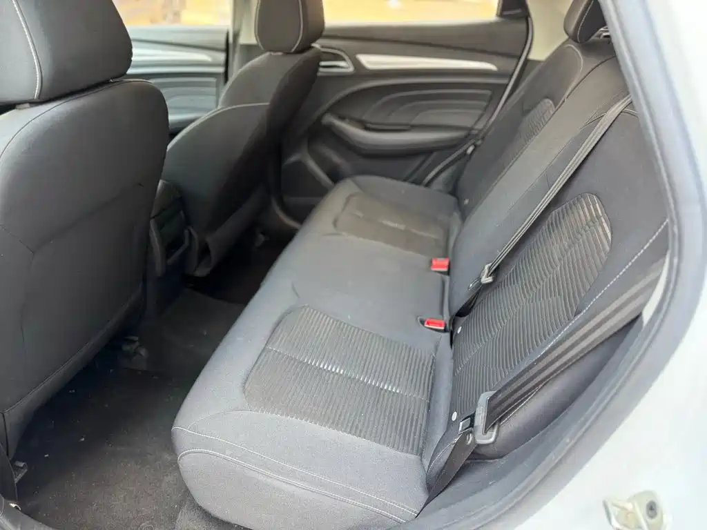 Фото 9 - Roewe RX3