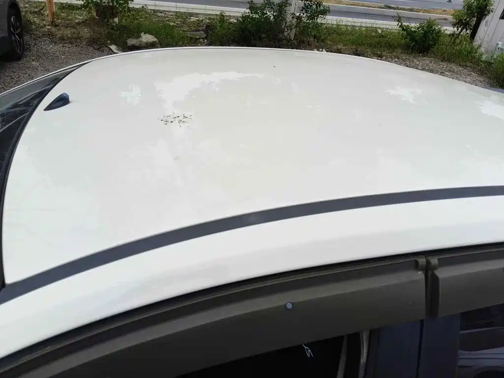 Фото 6 - Ford Focus
