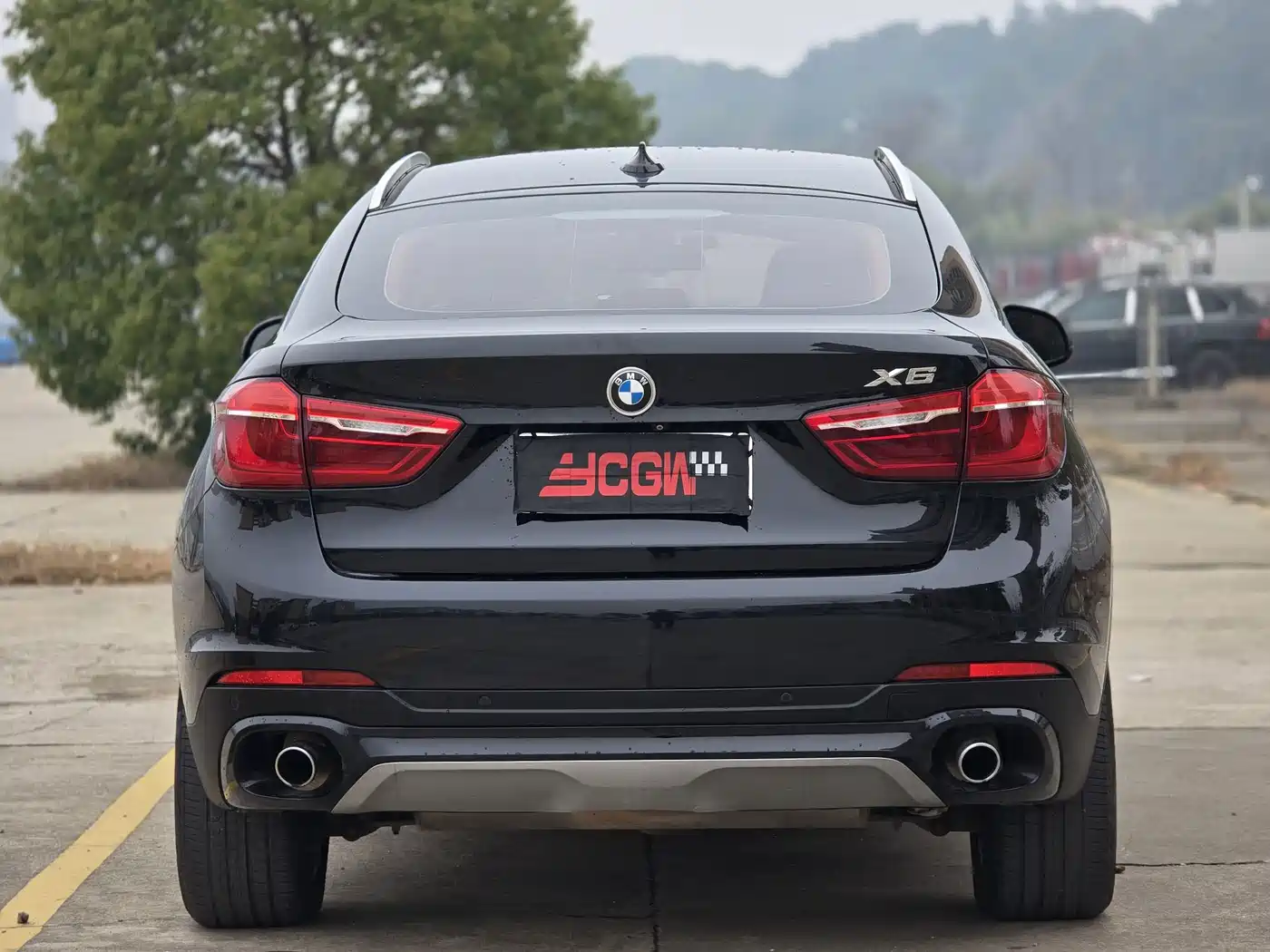 Photo 15 - BMW X6