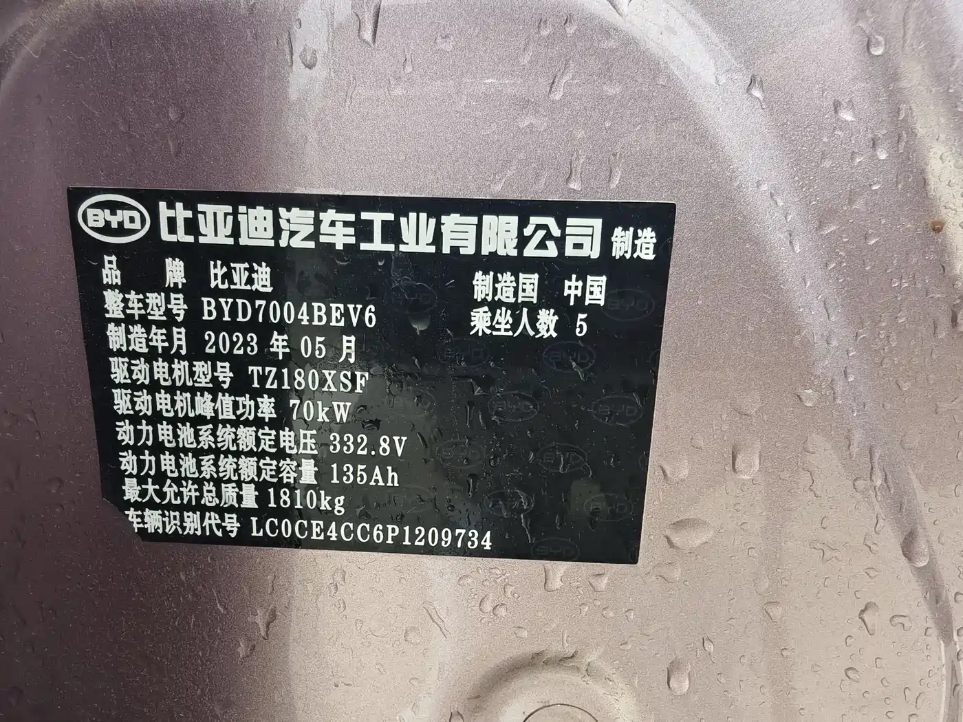 BYD Dolphin 2023 420km Freedom Edition фото 17