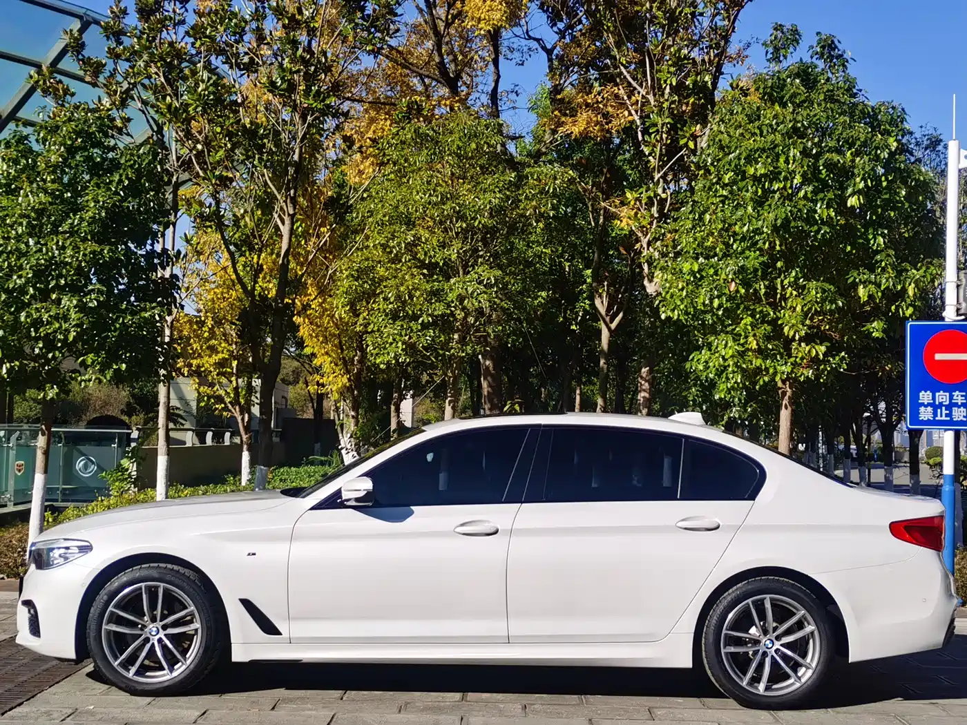 BMW 5 Series 2019 525Li M Sport Package фото 8