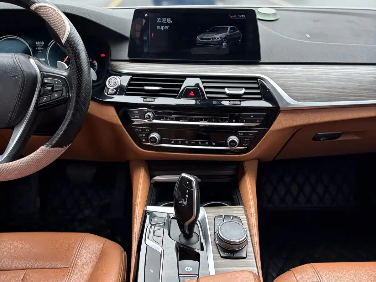 BMW 5 Series 2018 530Li Leading Luxury Package фото 13