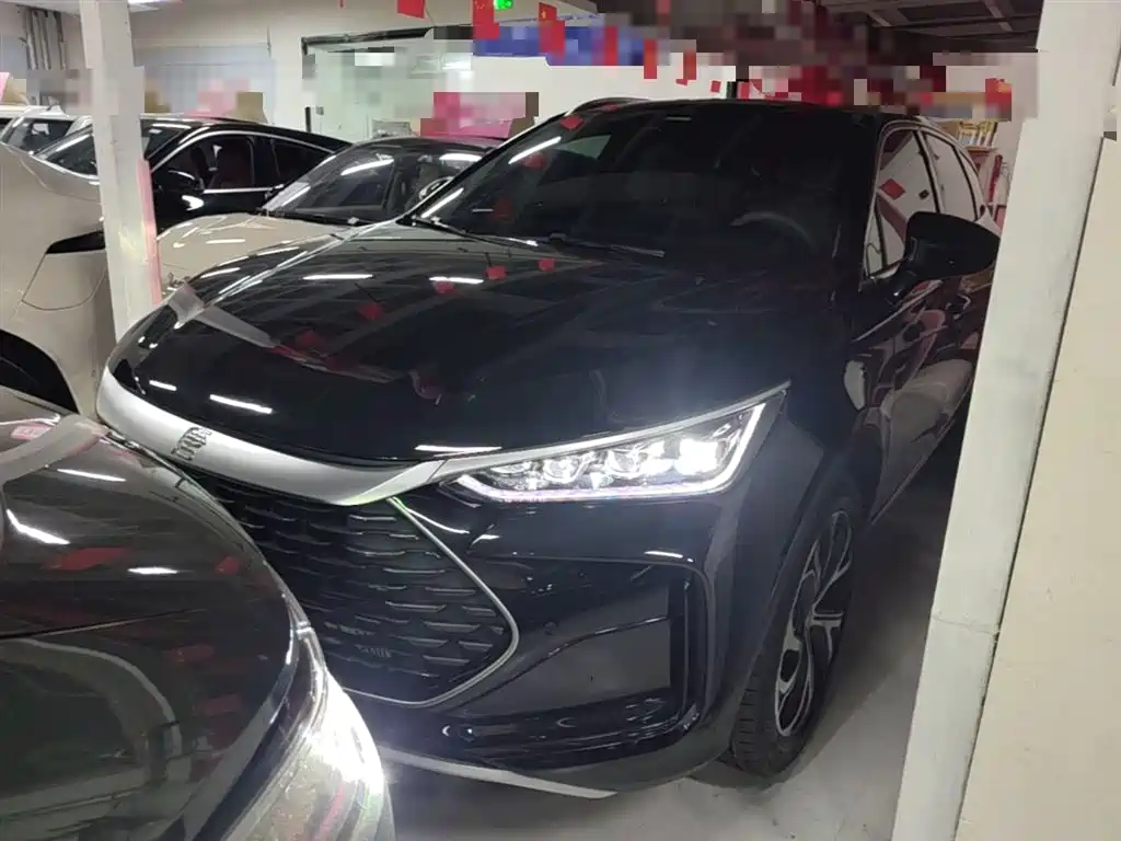 BYD Tang New Energy 2025 DM-i 115KM Premium фото 3