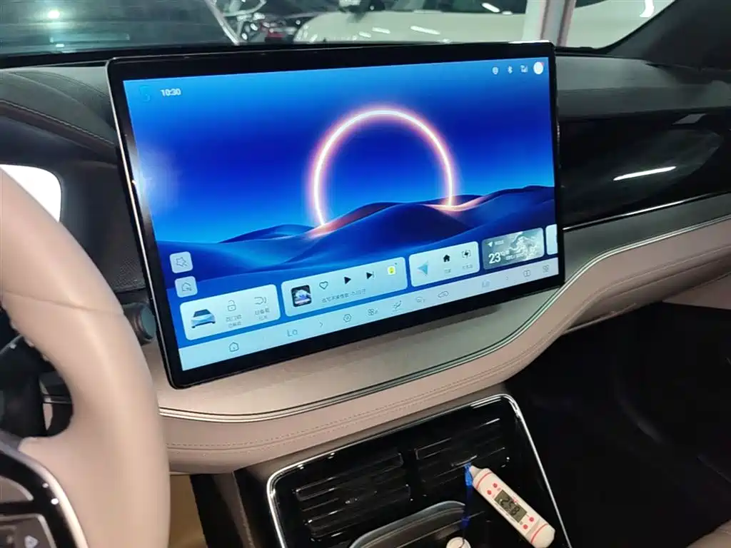 BYD Tang New Energy 2025 DM-i 115KM Premium фото 13