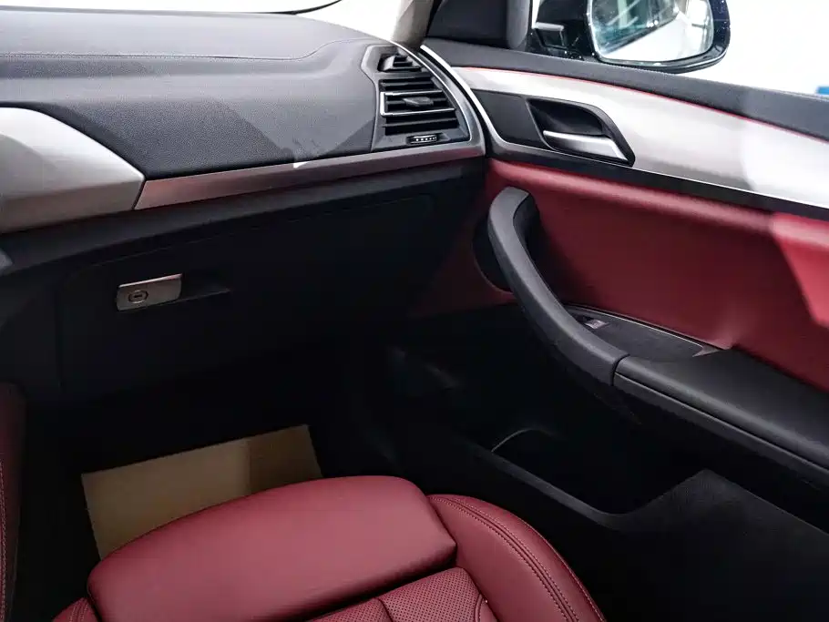 BMW X4 2023 2022 xDrive 25i M Sport Package