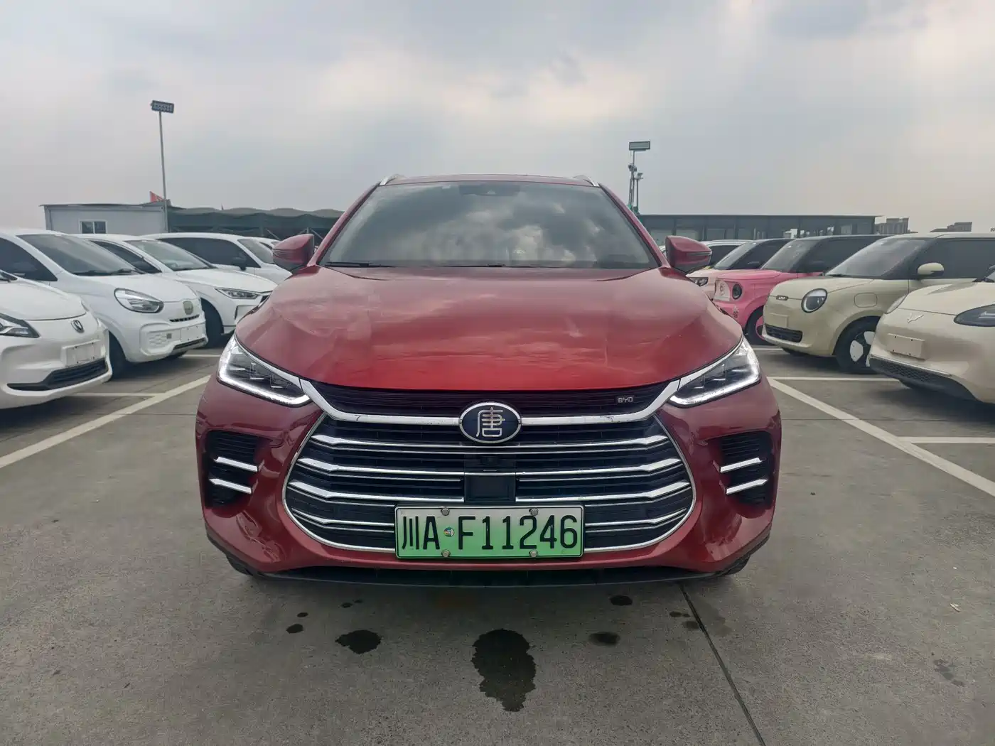 BYD Tang New Energy 2019 DM 2.0T AWD Intelligent Genesis Edition 7-seater China VI фото 2