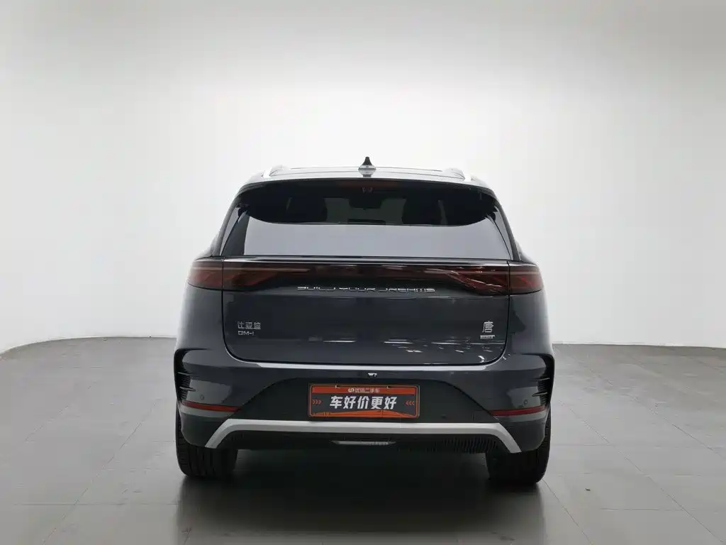 2025 BYD Tang New Energy