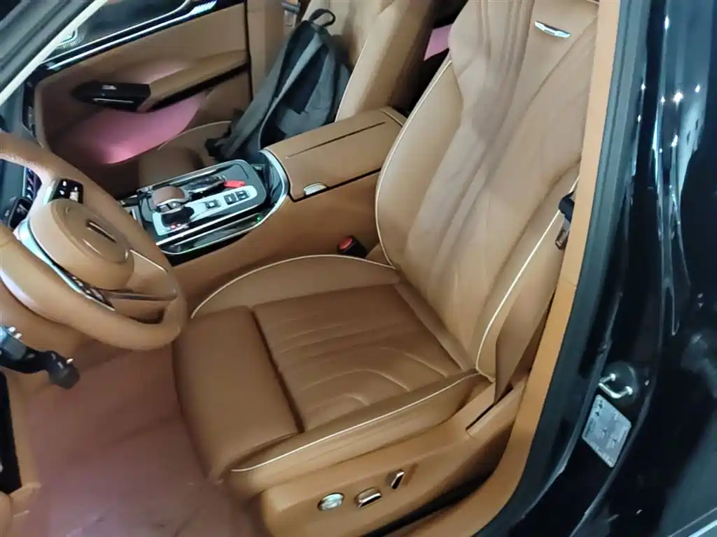 Hongqi H9 2025 2.0T 2WD Qichang Luxury Business Edition 5-seater фото 22