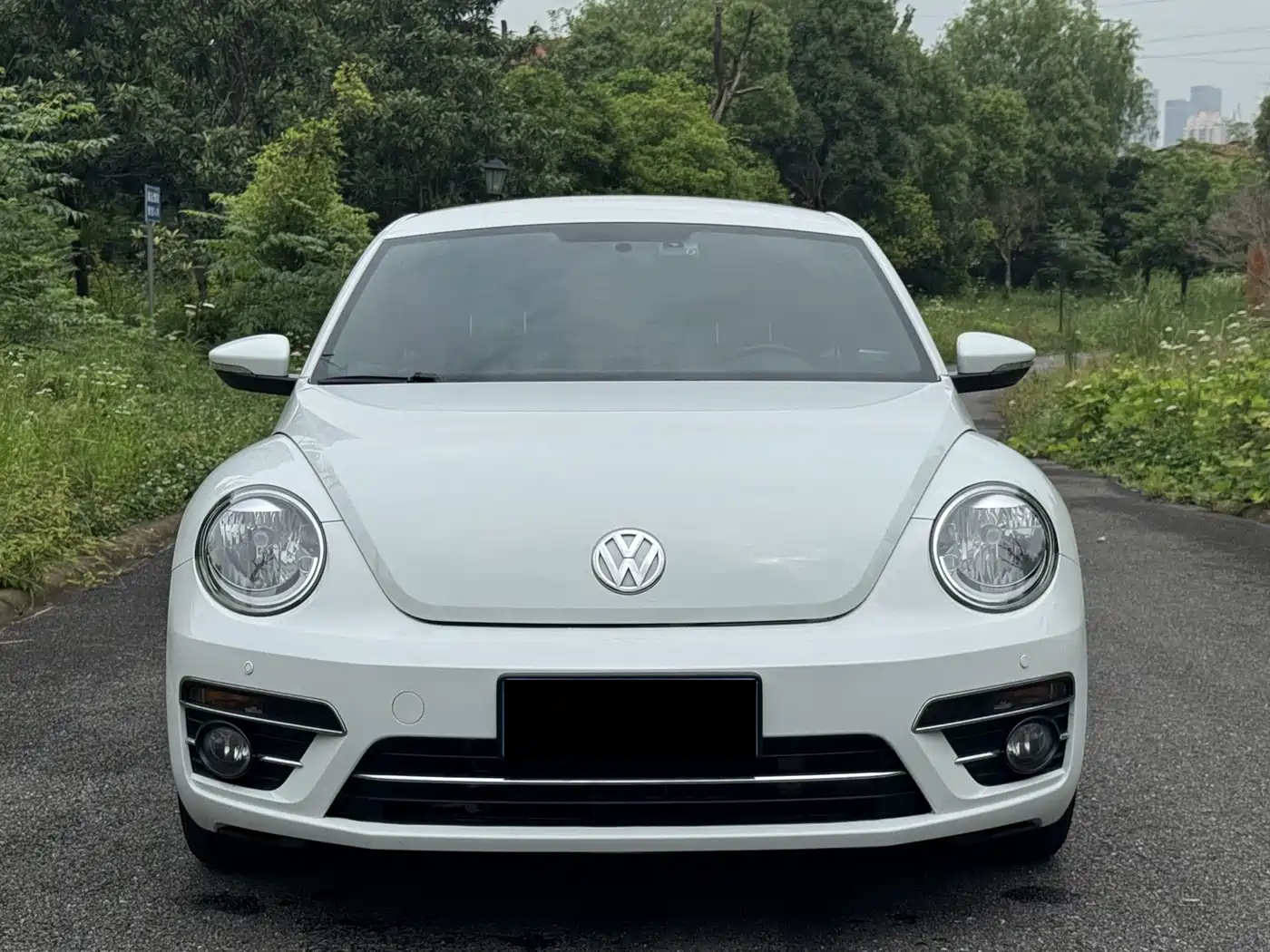Volkswagen Beetle 2019 180TSI Collector's Edition фото 2