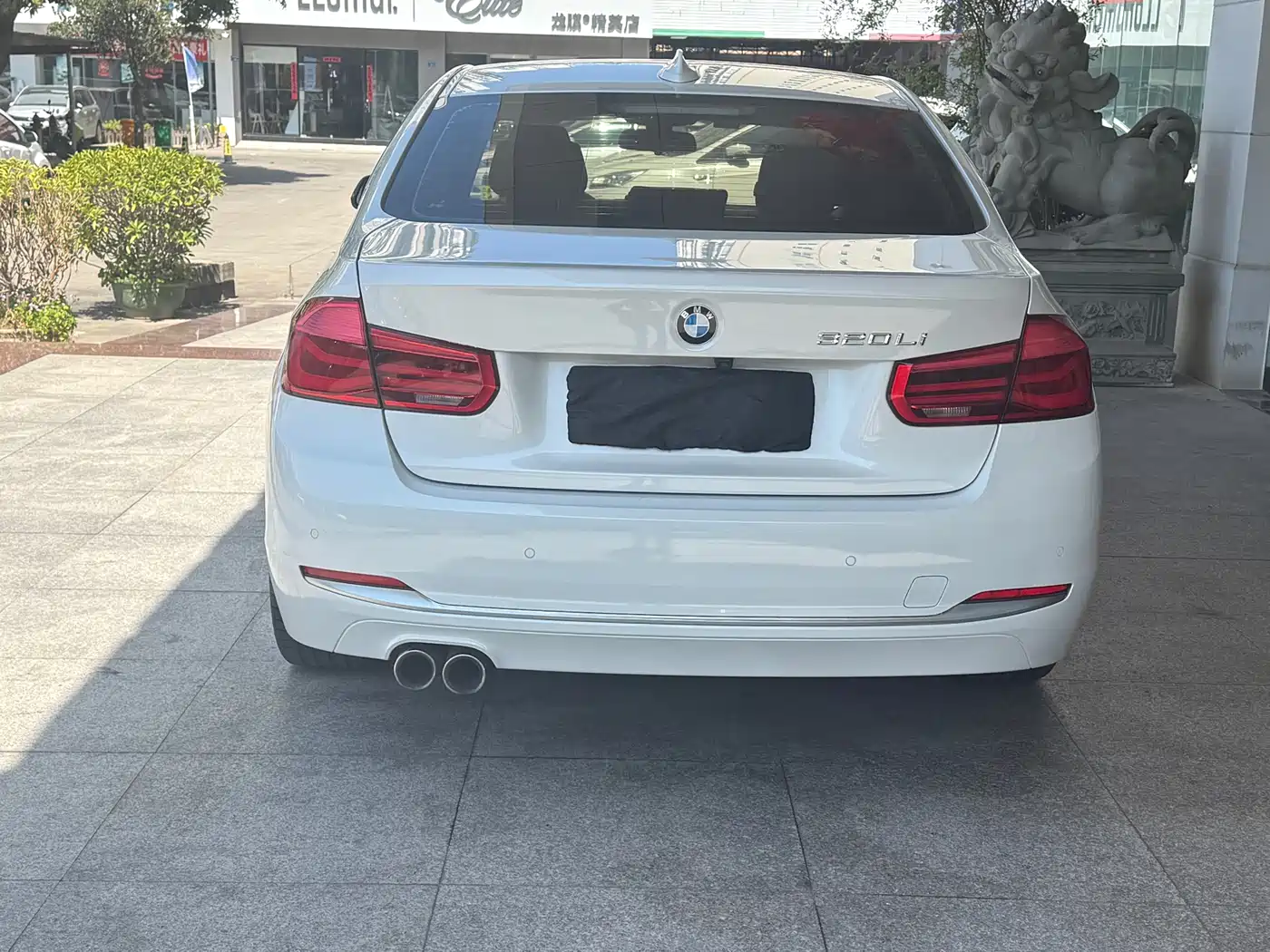 BMW 3 Series 2019 320Li Fashion Type фото 8