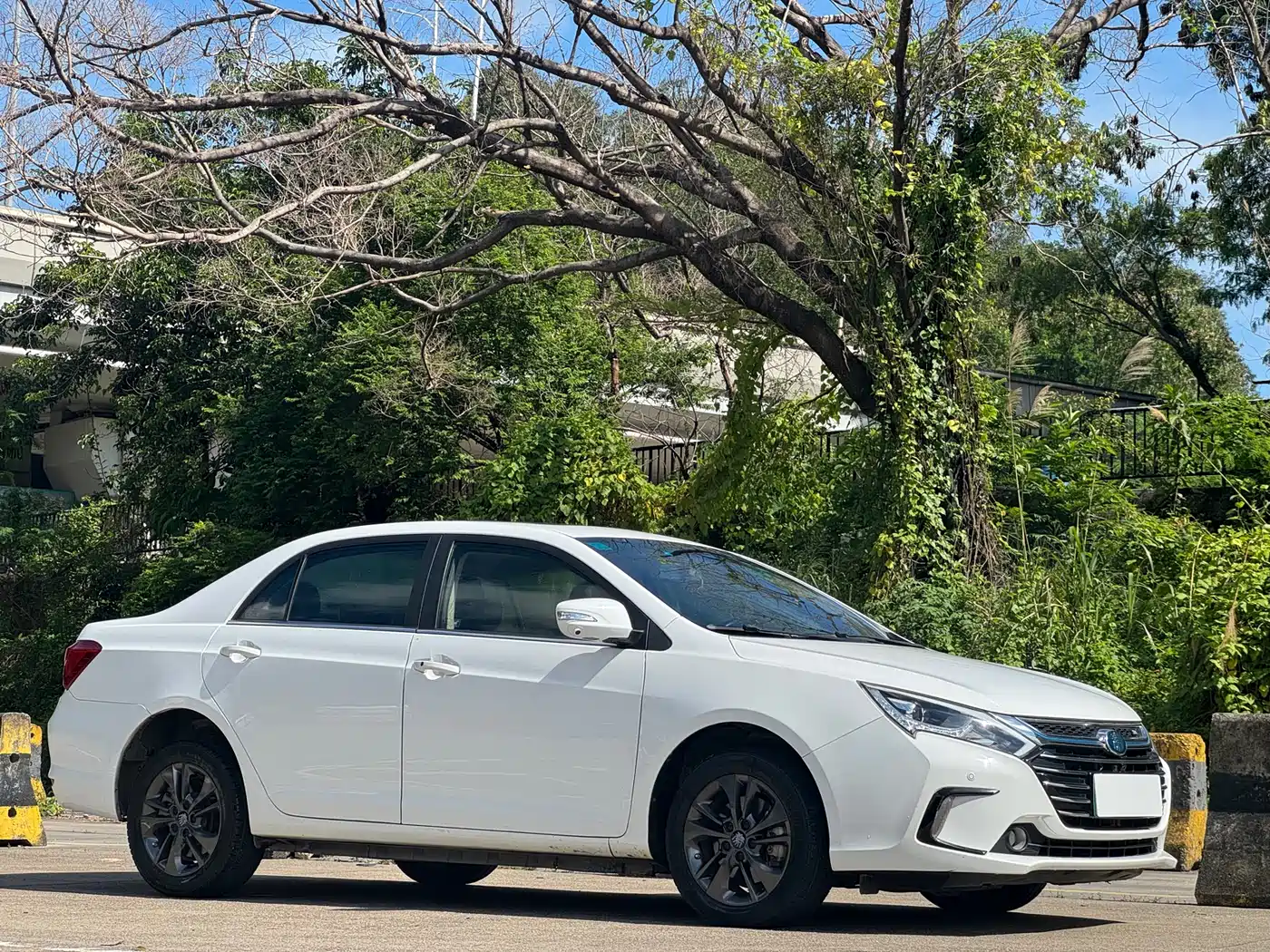 BYD Qin New Energy 2017 1.5T Premium Model фото 2