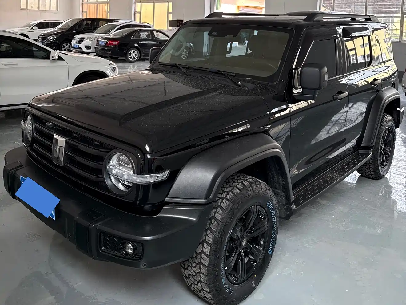 Tank 300 2021 Off-road Version 2.0T Conqueror