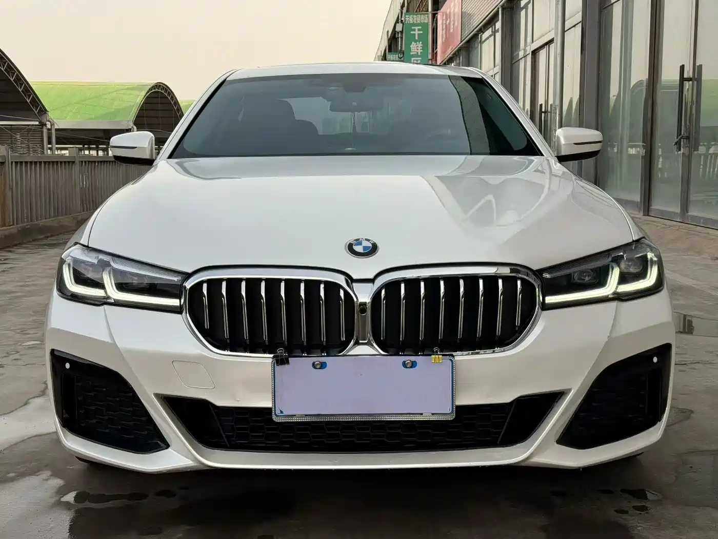 BMW 5 Series 2020 530Li Leading Luxury Package фото 2