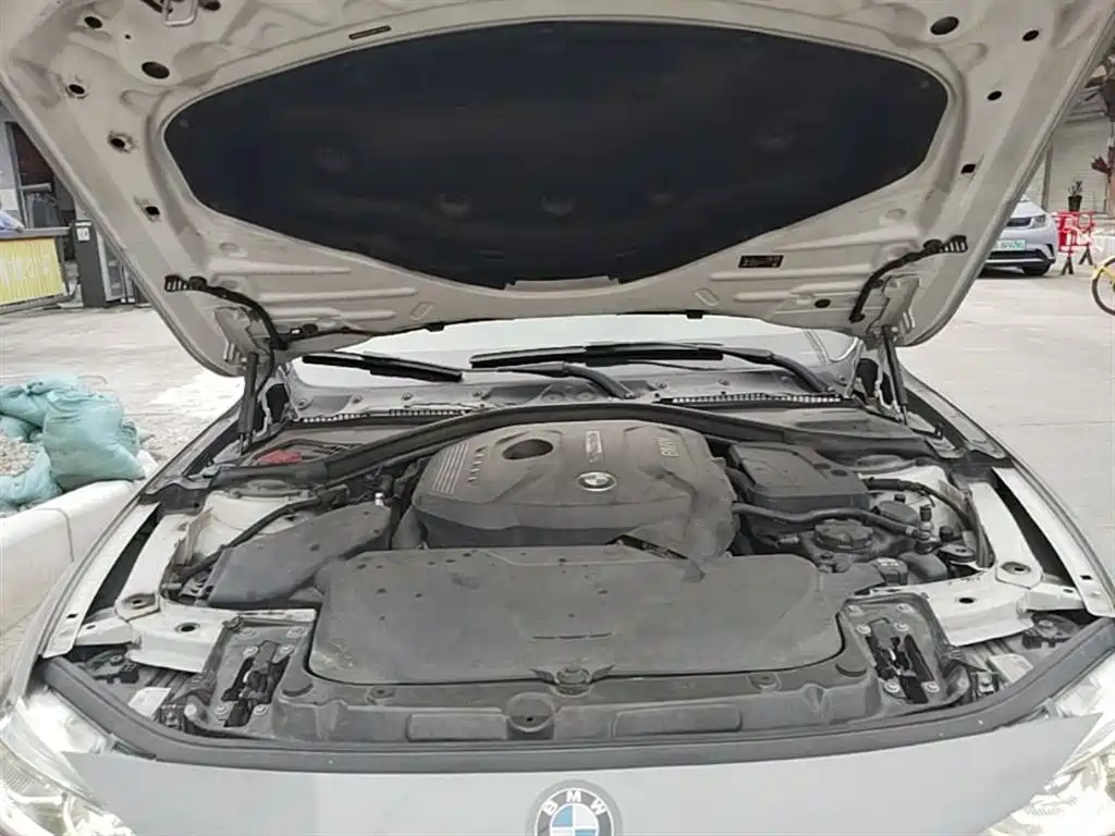 BMW 3 Series 2018 320Li Fashion Style фото 20