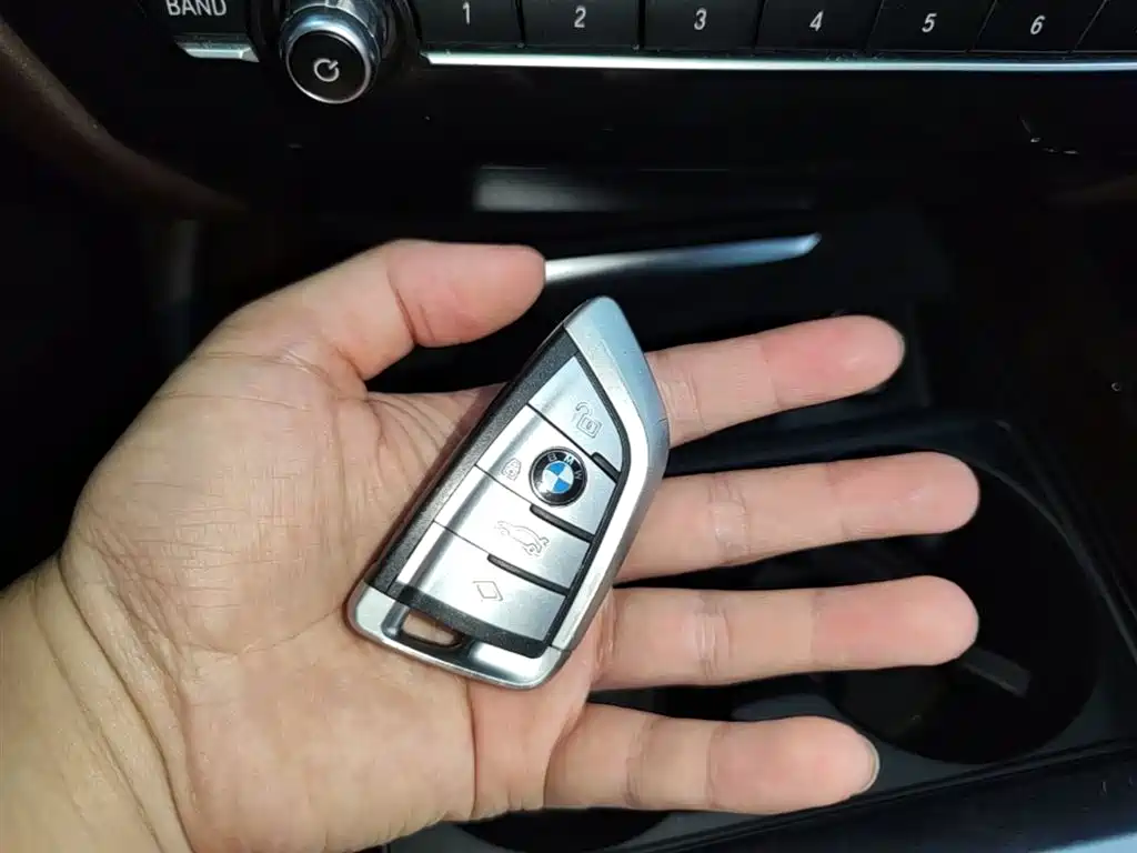 BMW X5 (Import) 2018 xDrive35i Elegant Model фото 9