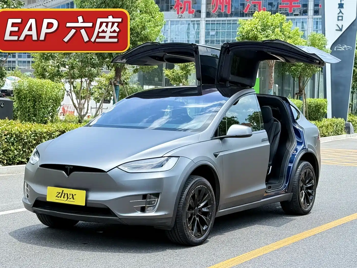  Tesla Model X 2017 Model X 100D Long Range