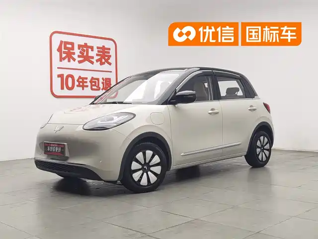  Wuling Motors Wuling Bingo 2024 333km Comfort Edition