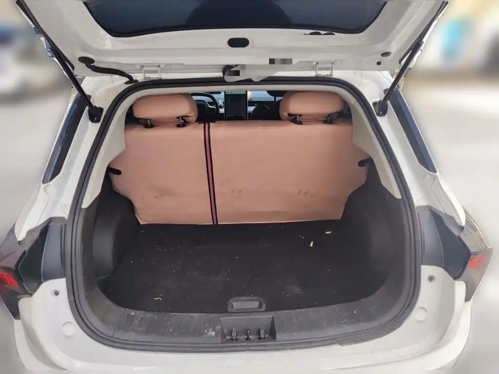 Nezha Auto Nezha V 2023 2022 Tide 300 Lite Ternary Lithium