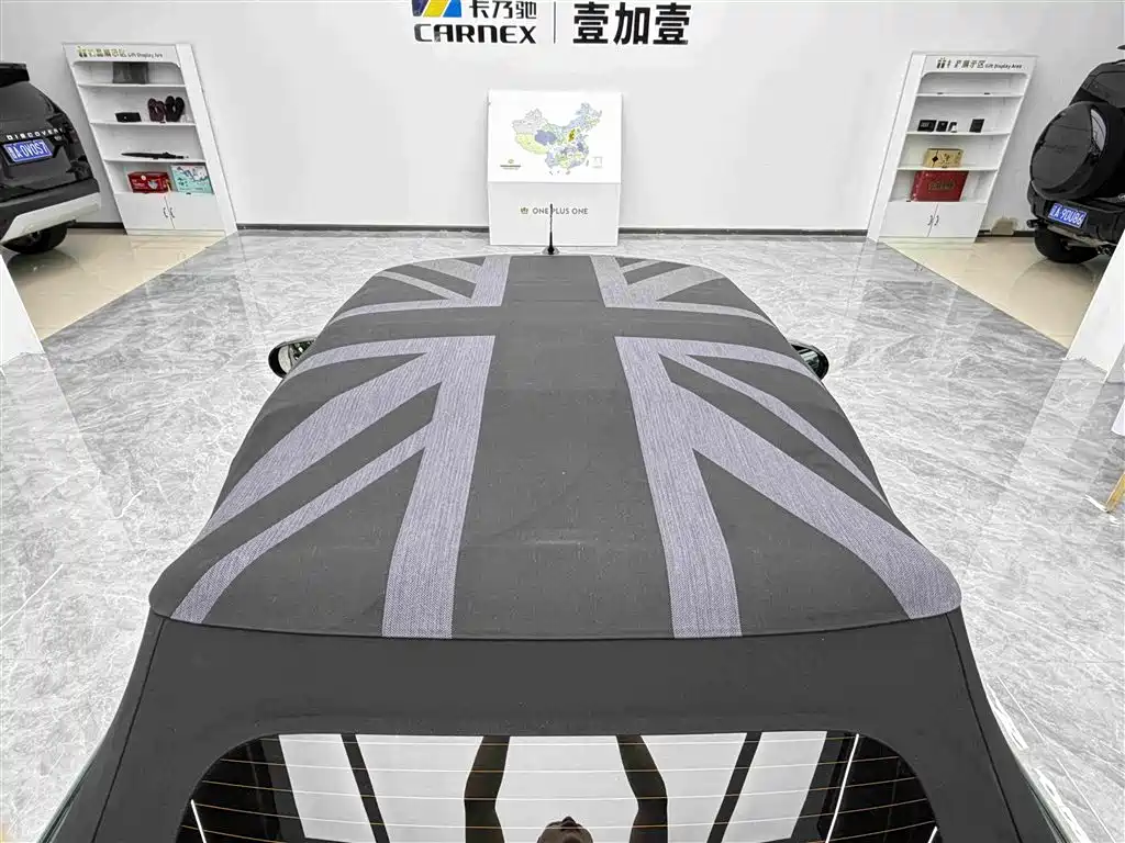 MINI MINI 2025 2025 2.0T COOPER S CABRIO Artist
